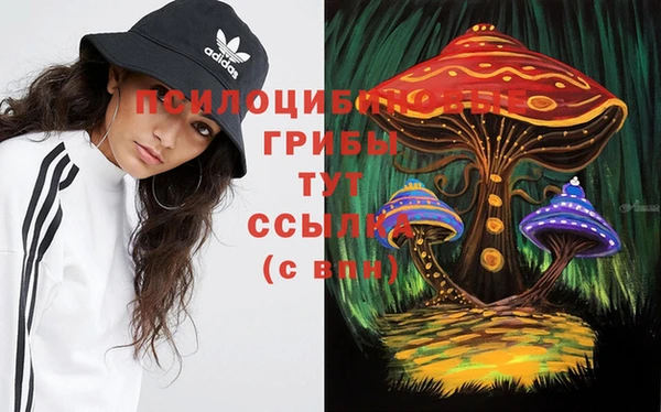 а пвп мука Медногорск