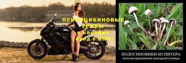 трава Михайловск