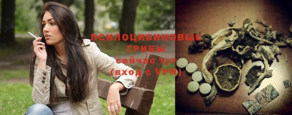 ECSTASY Пролетарск