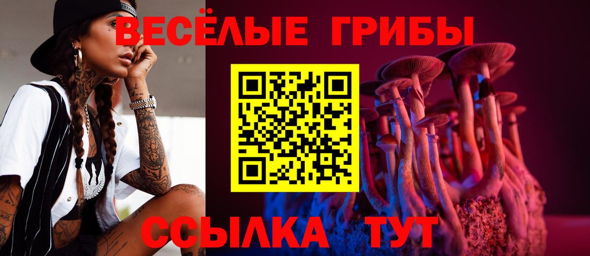 Зеленокумск  Псилоцибиновые грибы ЛСД  Вход с VPN 